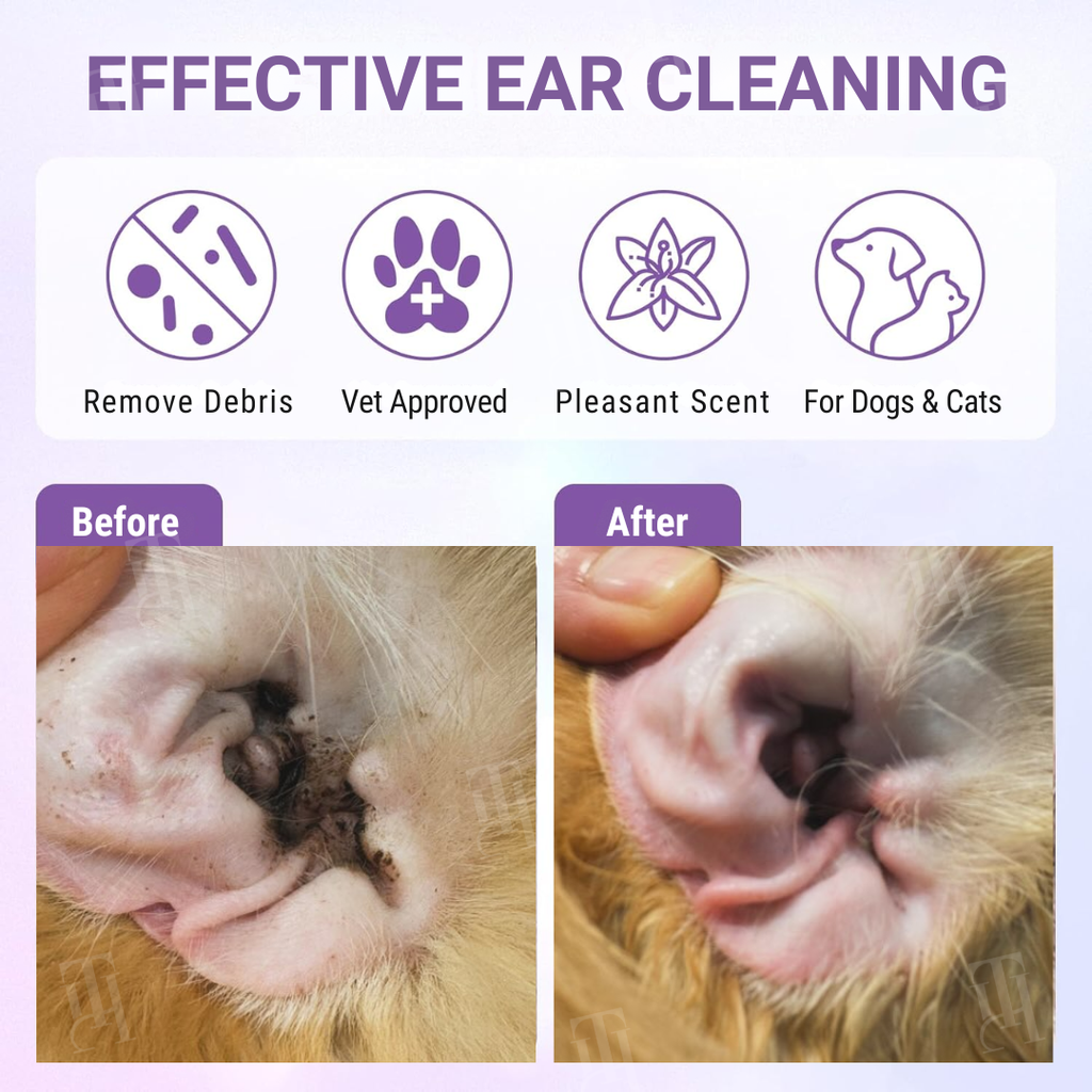 🌟 Official Store | Cvreoz® Pet Ear Cleaning Finger Mitts