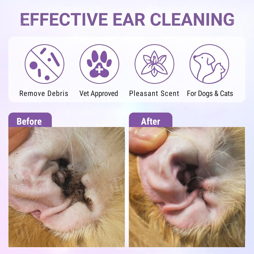 🌟 Official Store | Cvreoz® Pet Ear Cleaning Finger Mitts