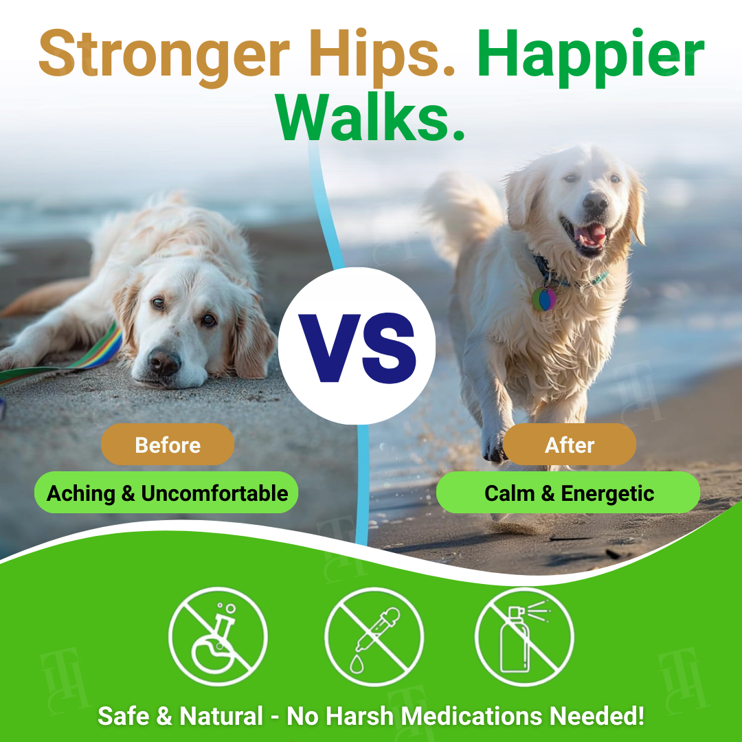 🌟 Official Store | GreenKiss® Advanced Hip & Joint Complex Soft Chews | Turmeric + HA + Collagen