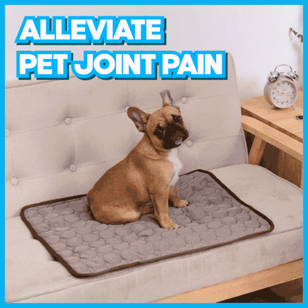 AEXZR® Pet Cooling Mat