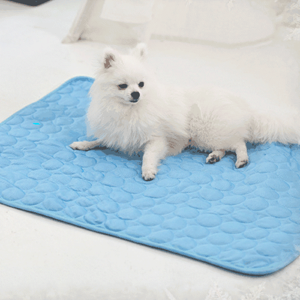 AEXZR® Pet Cooling Mat