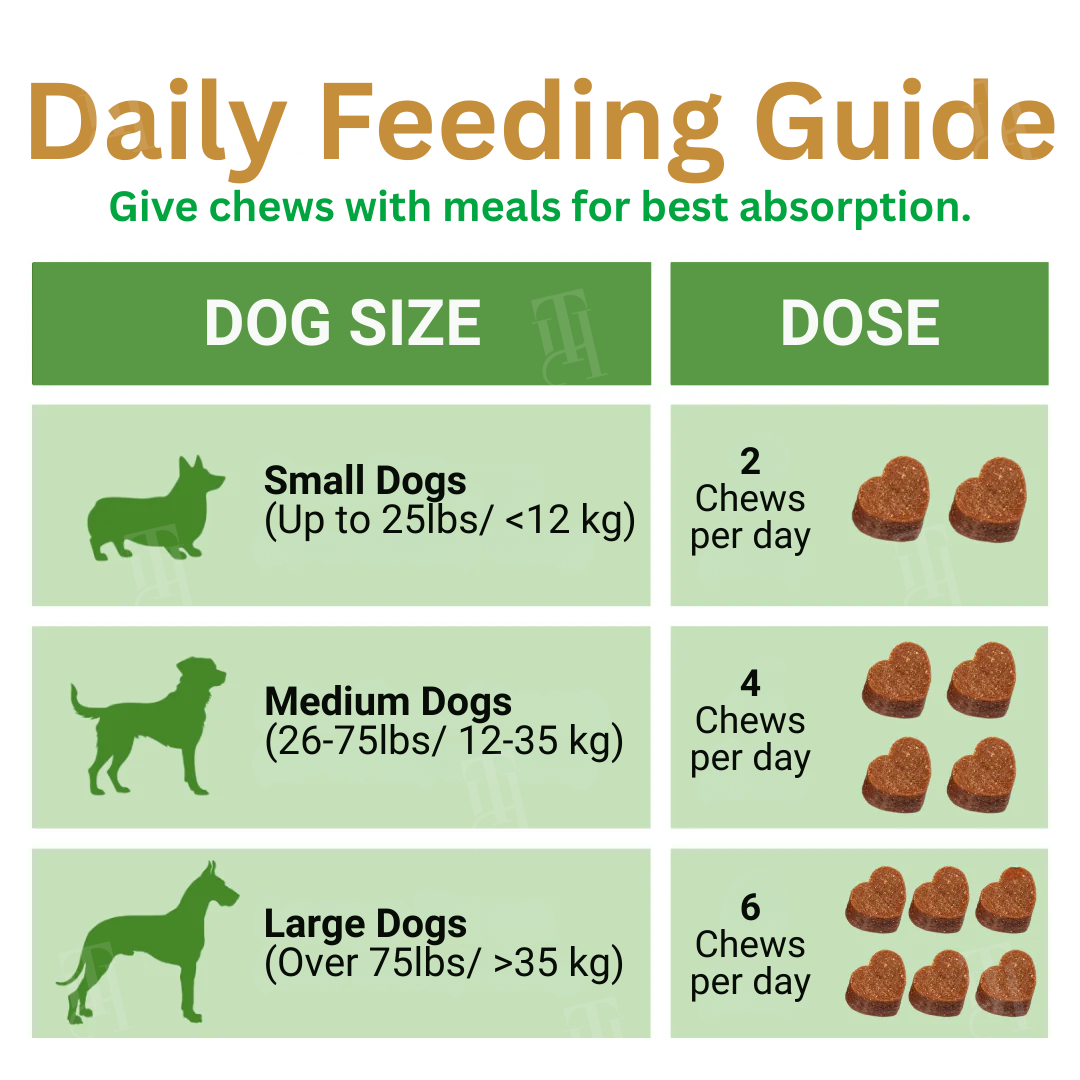 🌟 Official Store | GreenKiss® Advanced Hip & Joint Complex Soft Chews | Turmeric + HA + Collagen