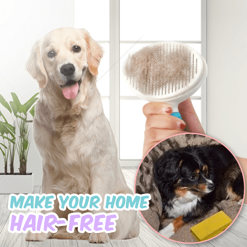 AEXZR® Self-Cleaning Pet Grooming Brush