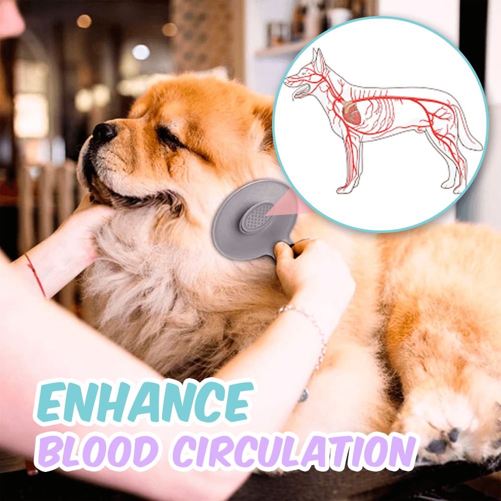 AEXZR® Self-Cleaning Pet Grooming Brush