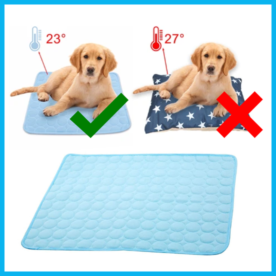 AEXZR® Pet Cooling Mat