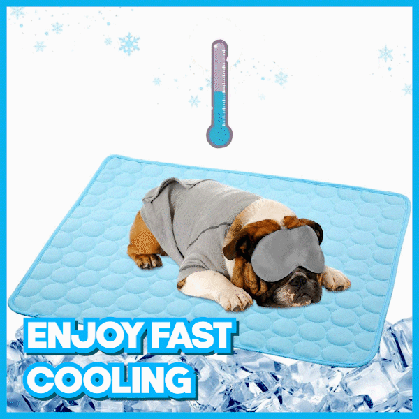 AEXZR® Pet Cooling Mat