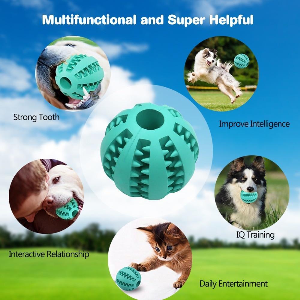 AEXZR® INTERACTIVE CHEW TOY BALLS for Pets