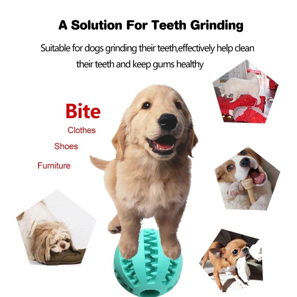 AEXZR® INTERACTIVE CHEW TOY BALLS for Pets