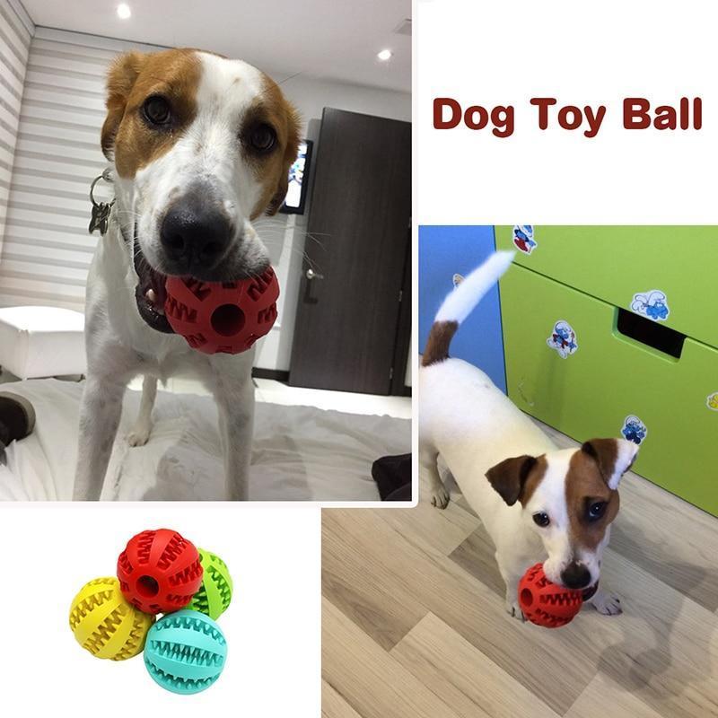 AEXZR® INTERACTIVE CHEW TOY BALLS for Pets