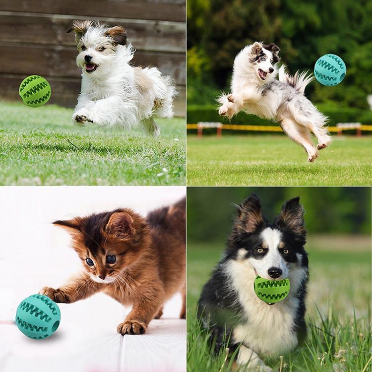 AEXZR® INTERACTIVE CHEW TOY BALLS for Pets
