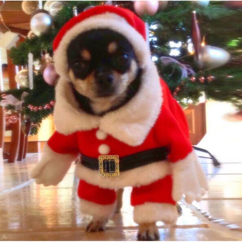 AEXZR® Christmas Costume for Pets
