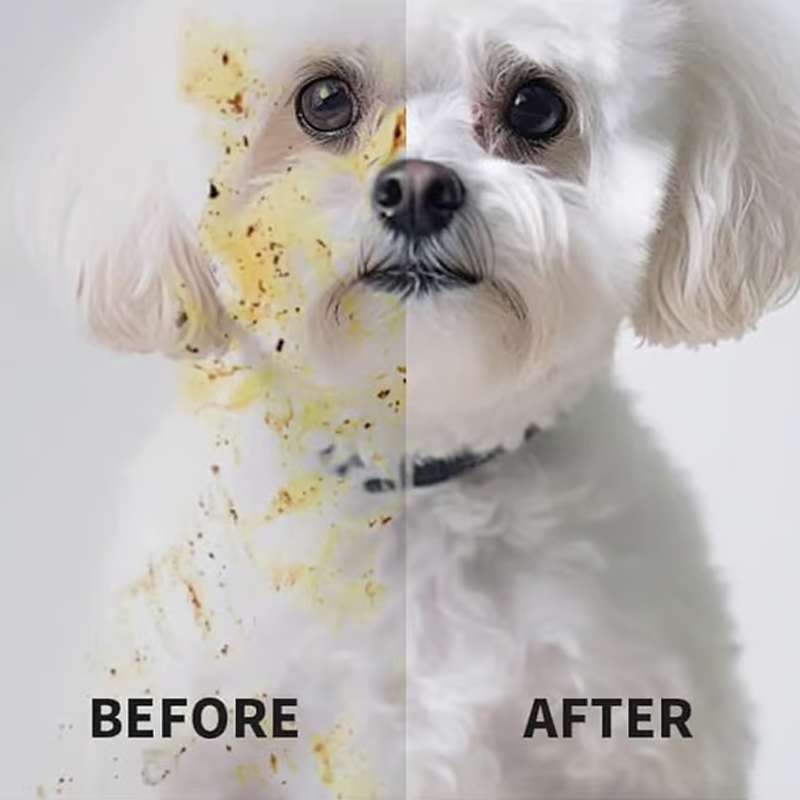 🔥 AEXZR®  Rinse-Free Dog Shampoo Mitts – Hypoallergenic Pet Bath Wipes | 6-Pack for Easy Grooming & Sparkling Clean Fur 🐶✨