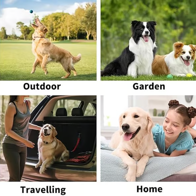 🔥 AEXZR®  Rinse-Free Dog Shampoo Mitts – Hypoallergenic Pet Bath Wipes | 6-Pack for Easy Grooming & Sparkling Clean Fur 🐶✨